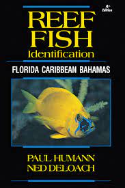[LB1801] Reef Fish ID Book