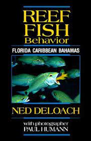 [745] Reef Fish Behavior